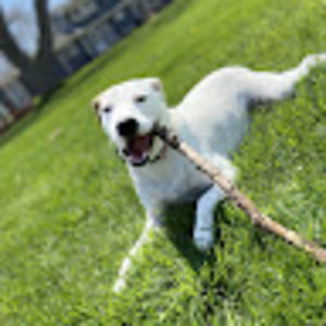 Meet your Posher, Jaden